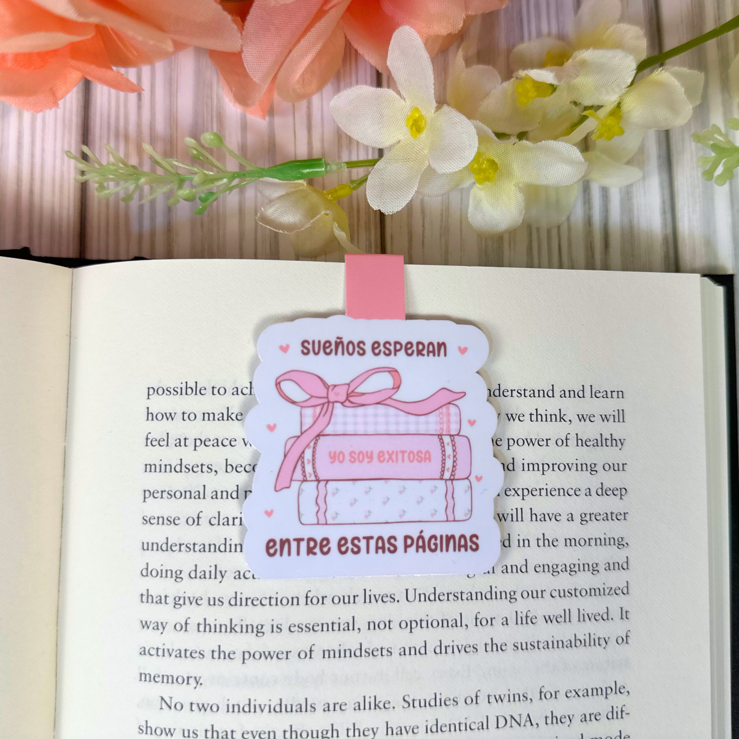 Sueños Esperan (Spanish) Magnetic Bookmark