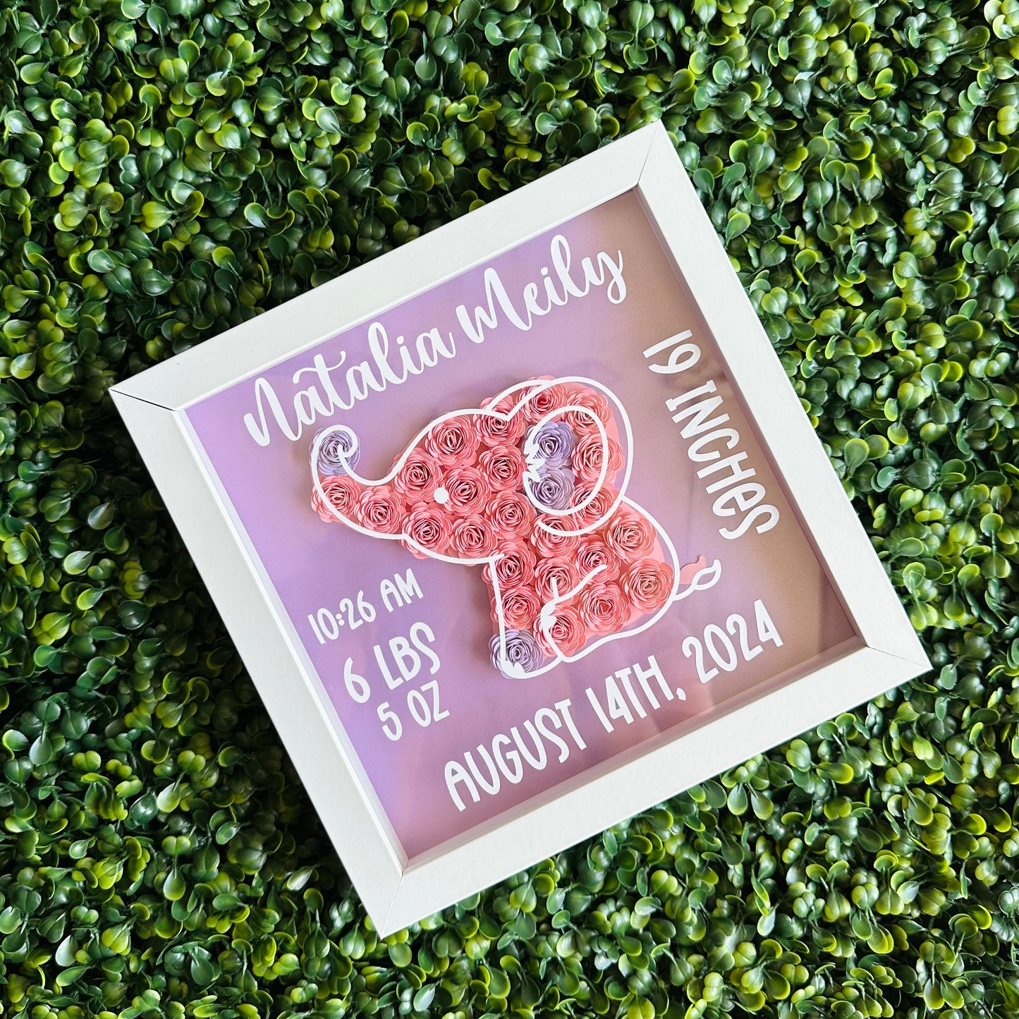 Baby Girl Elephant Birth Shadow Box