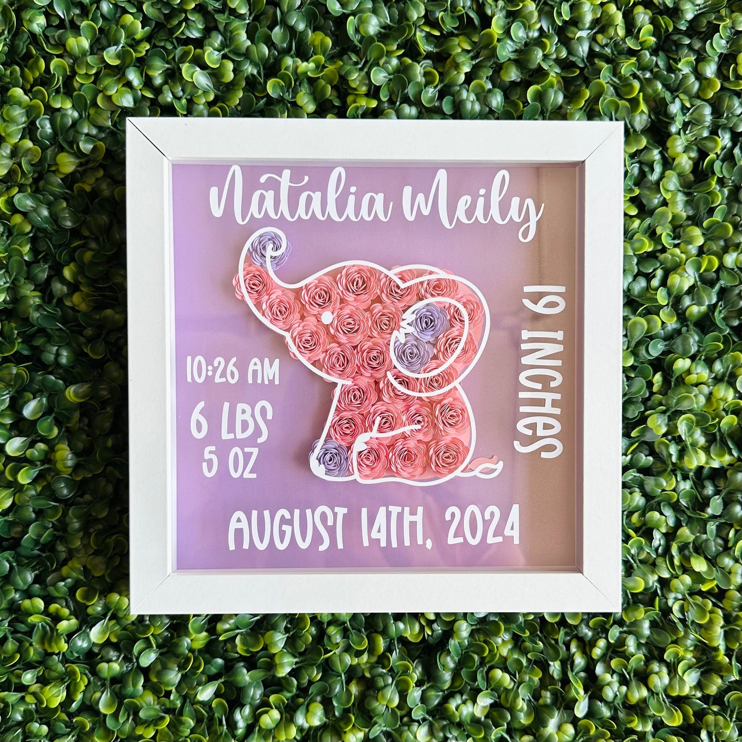Baby Girl Elephant Birth Shadow Box