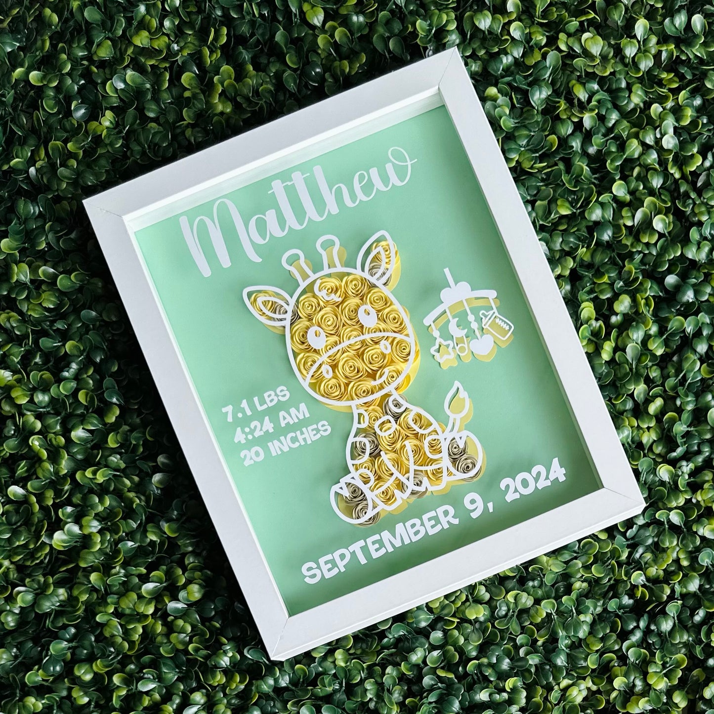 Baby Giraffe Shadow Box