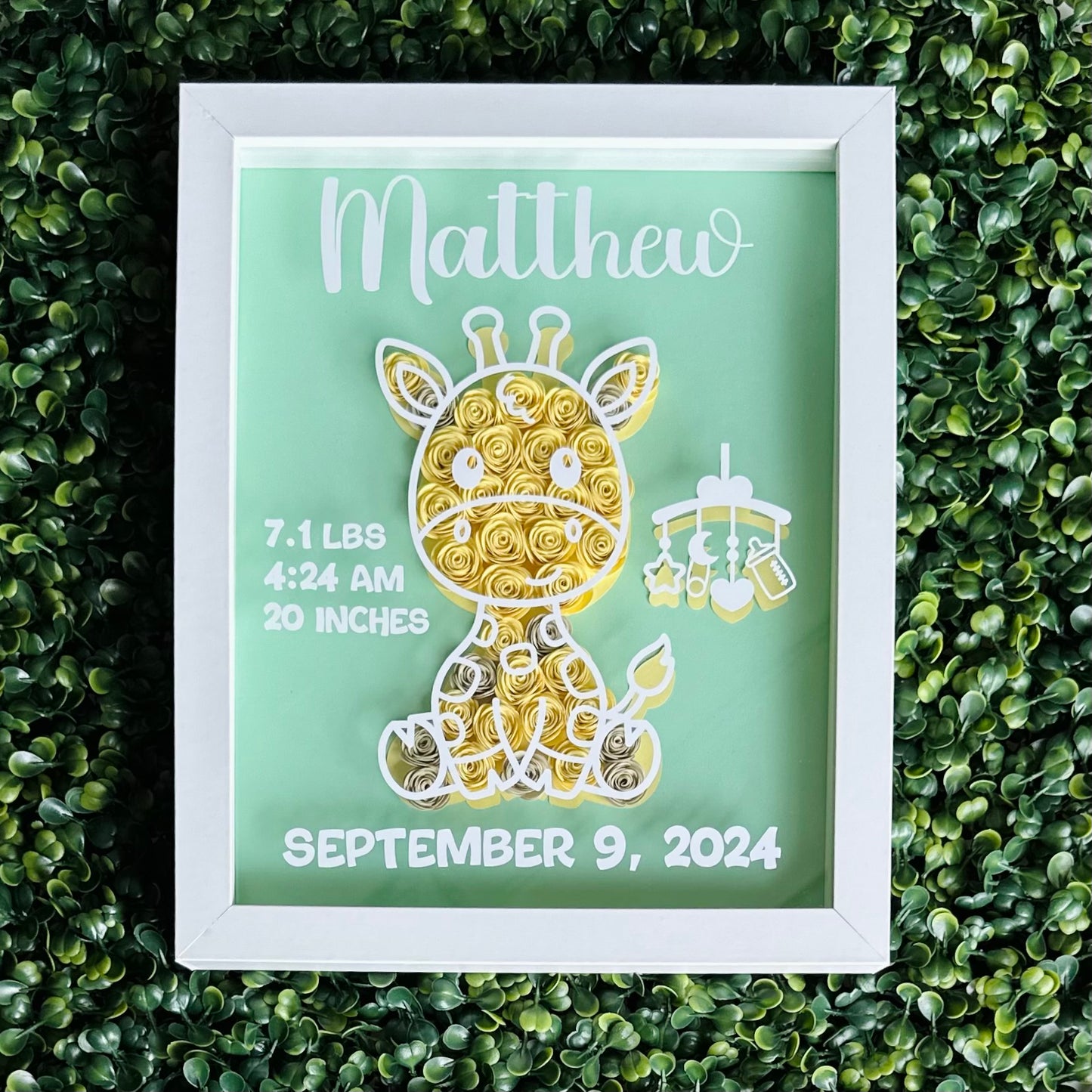 Baby Giraffe Shadow Box