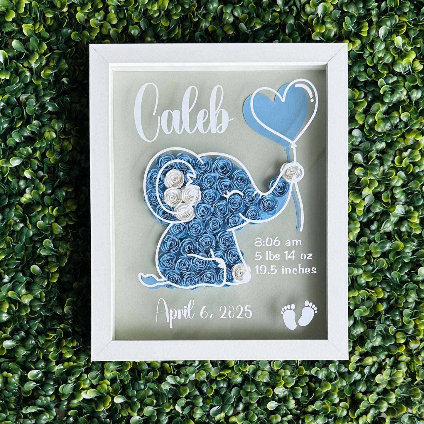 Blue Baby Elephant Shadow Box