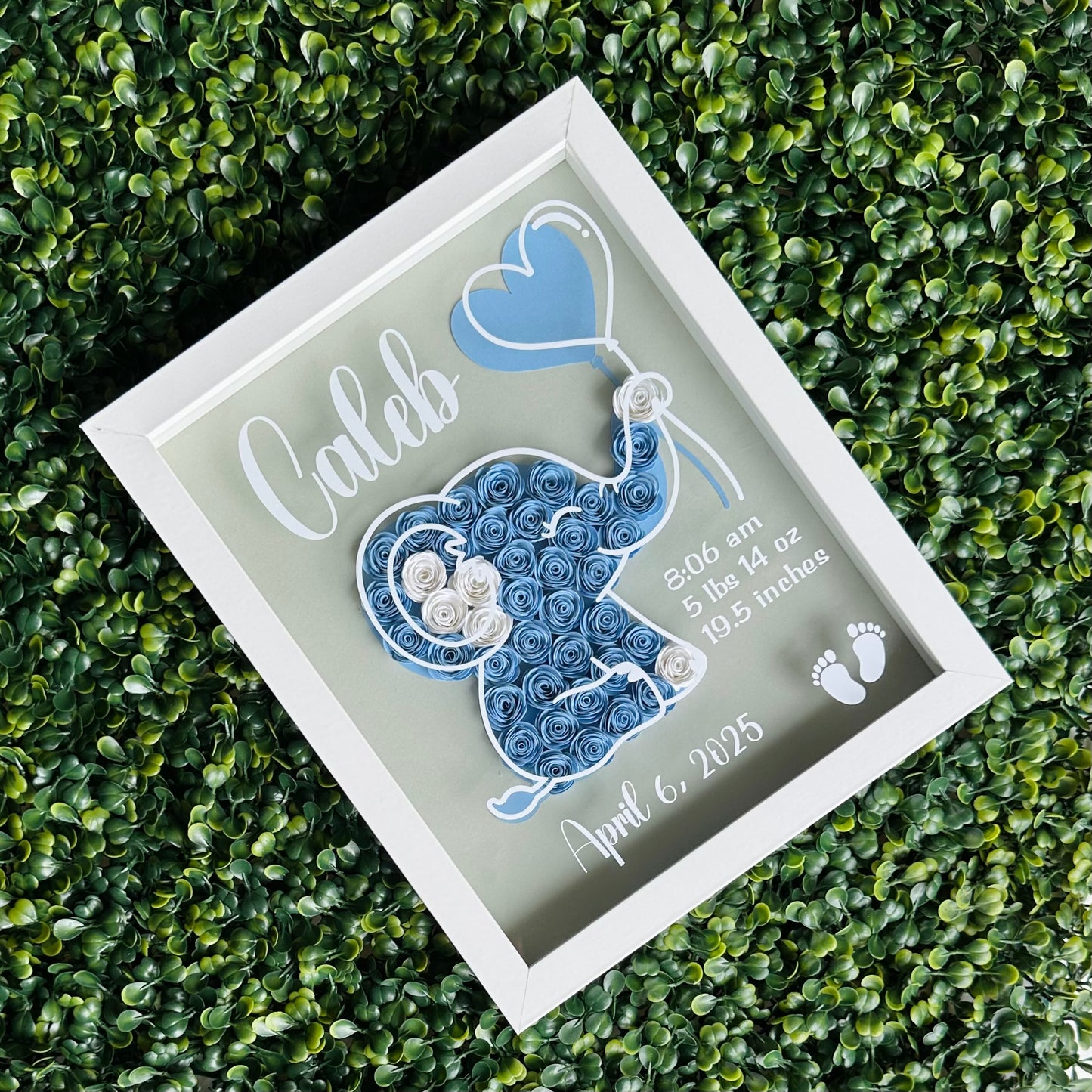 Blue Baby Elephant Shadow Box